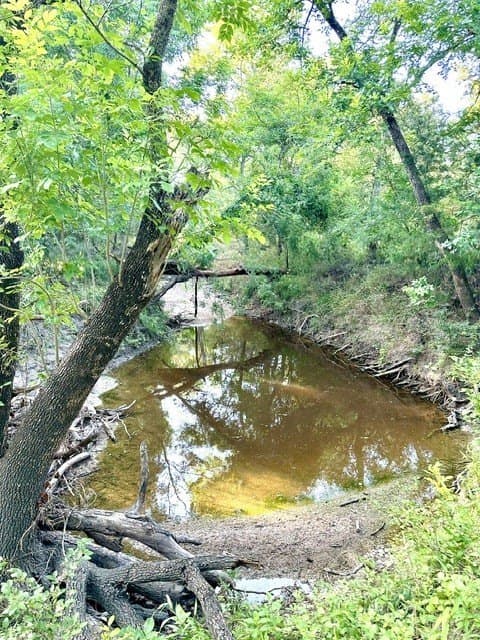 33.85 acres in Falls County - photo 15