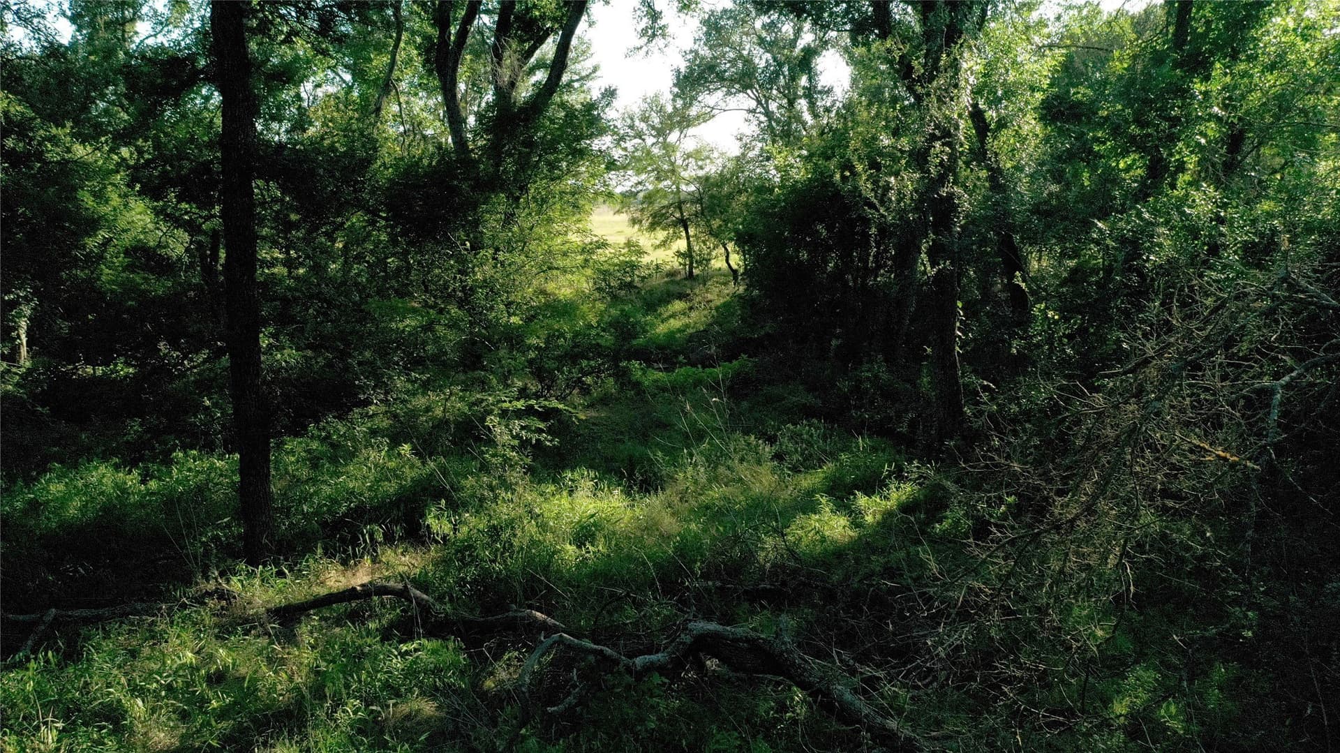 33.85 acres in Falls County - photo 4