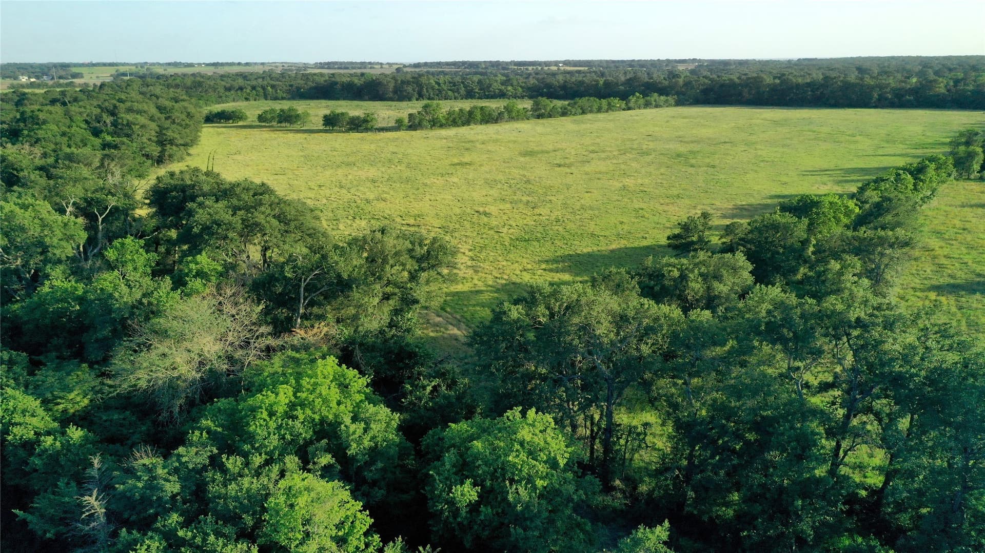 33.85 acres in Falls County - photo 3
