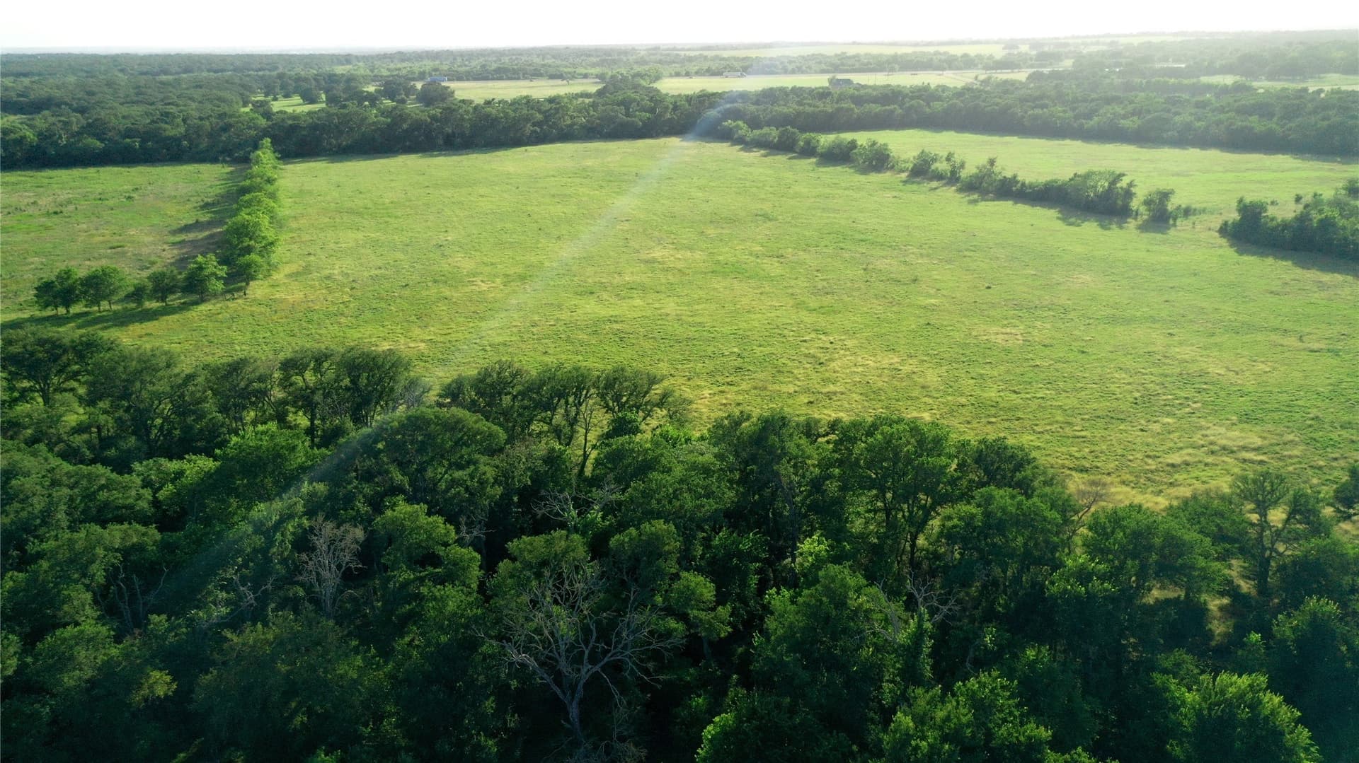 33.85 acres in Falls County - photo 14