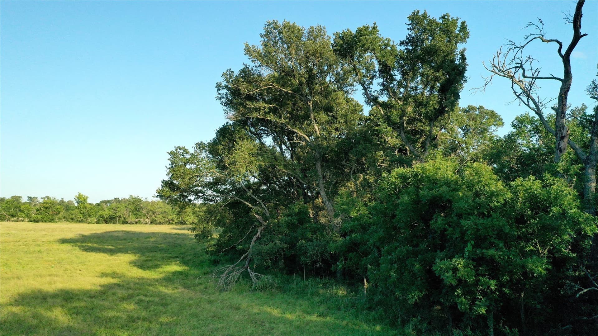 33.85 acres in Falls County - photo 13