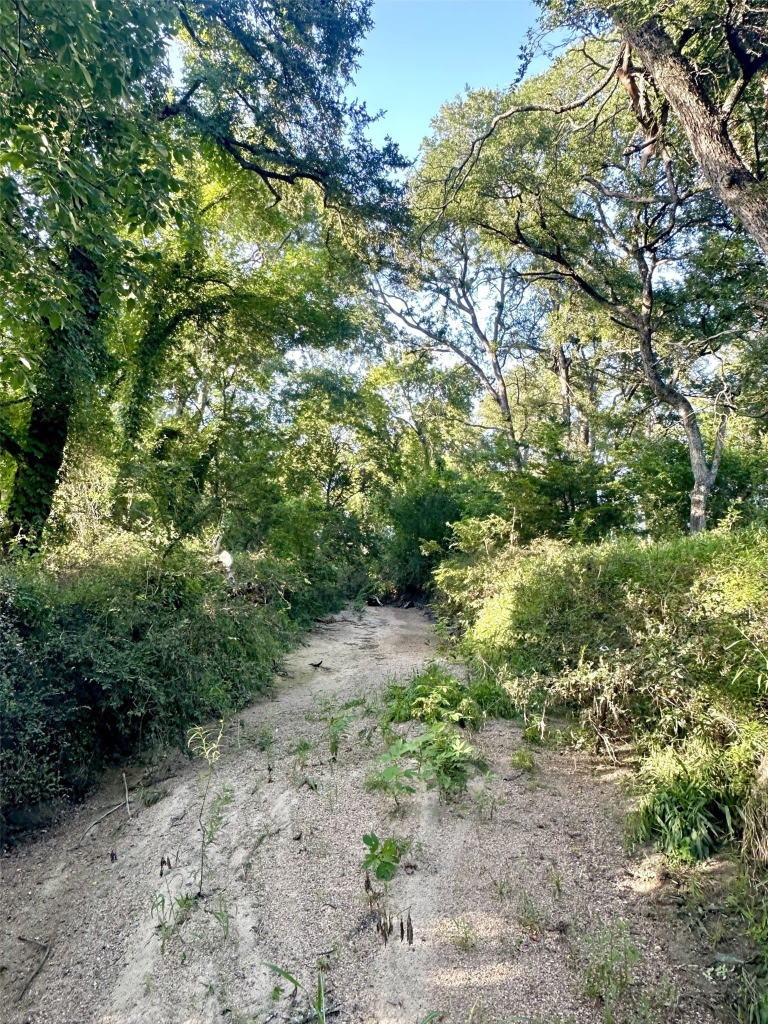 33.85 acres in Falls County - photo 12