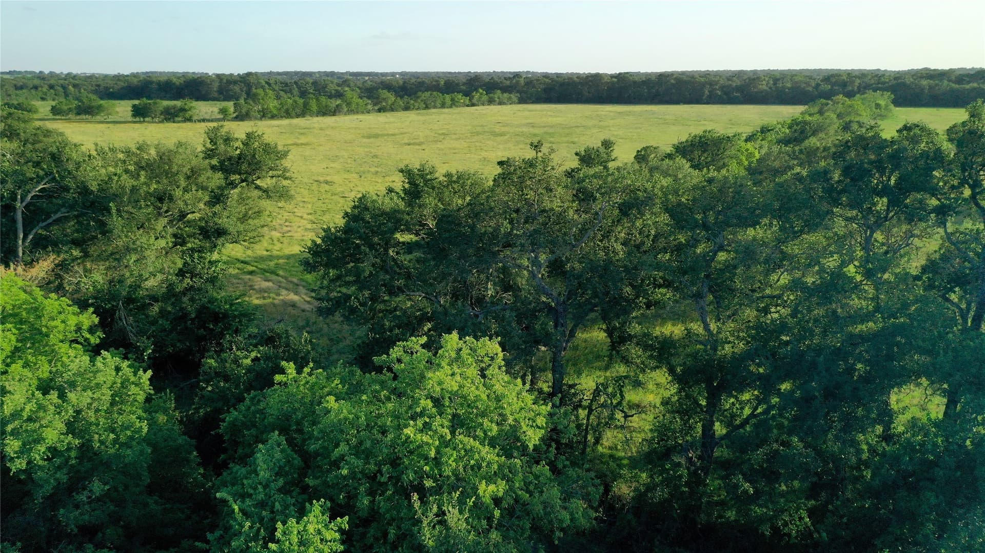 33.85 acres in Falls County - photo 6