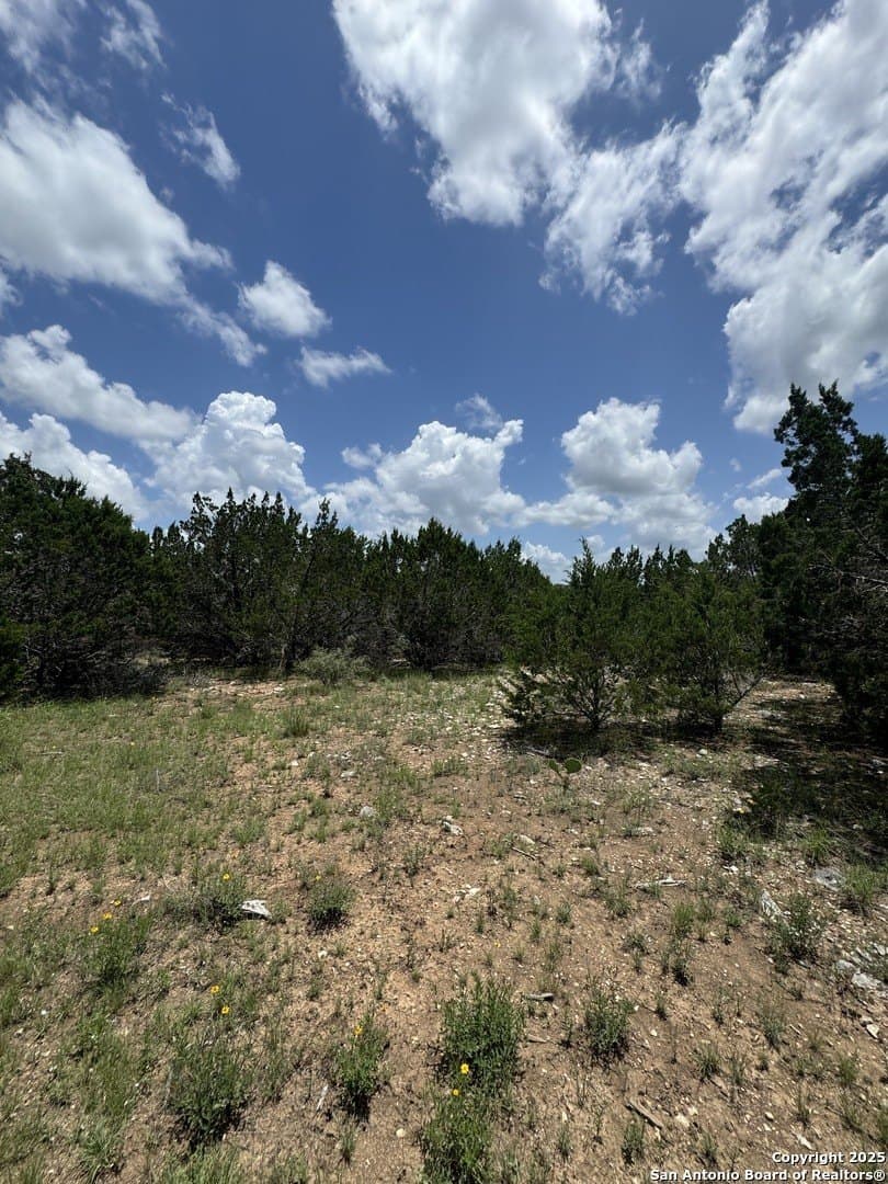 1.1 acres in Comal County - photo 16