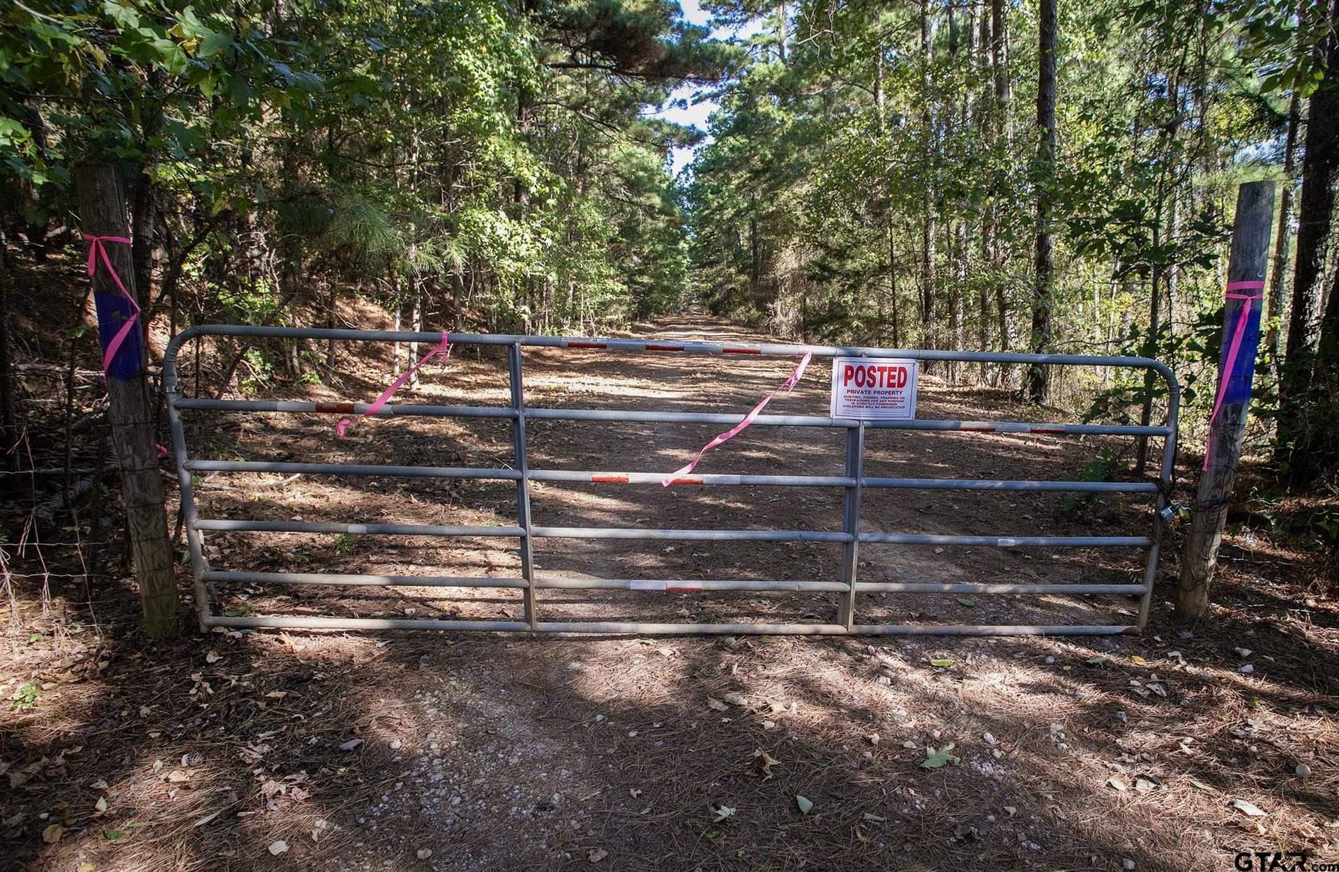24 acres in Henderson County - photo 13