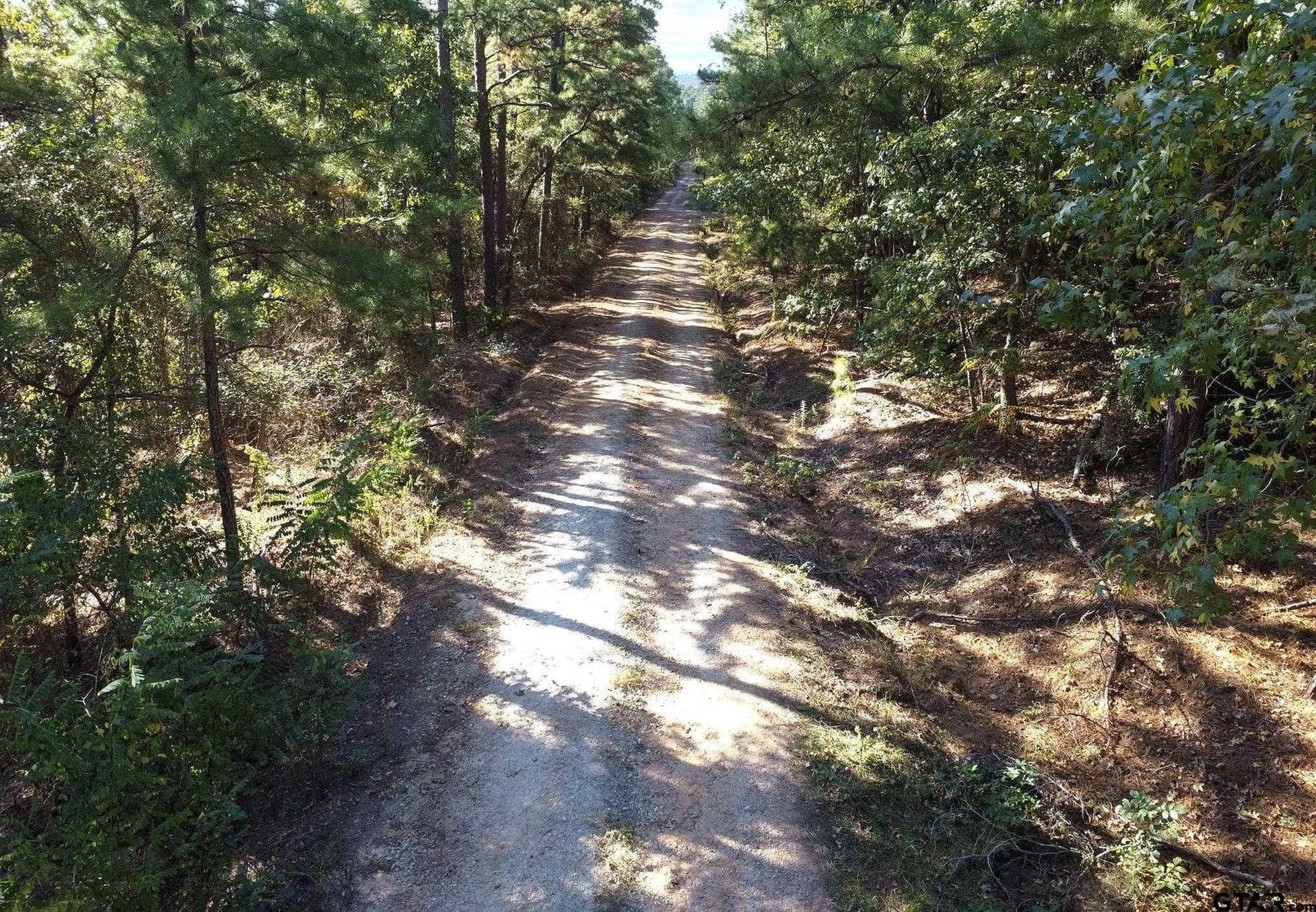 24 acres in Henderson County - photo 9