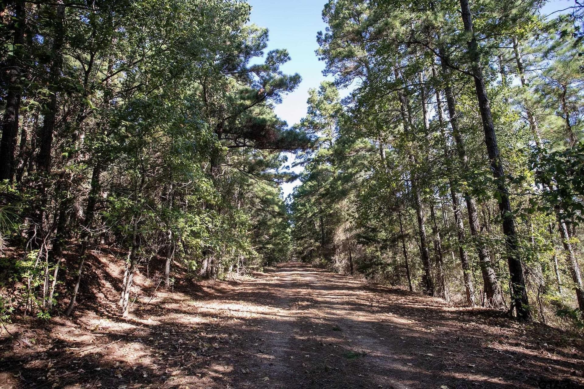 24 acres in Henderson County - photo 12