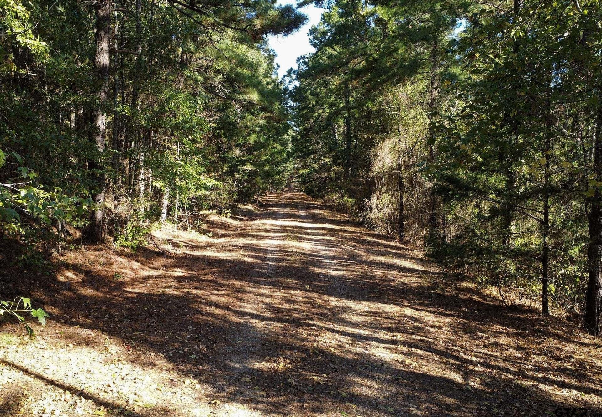 24 acres in Henderson County - photo 10