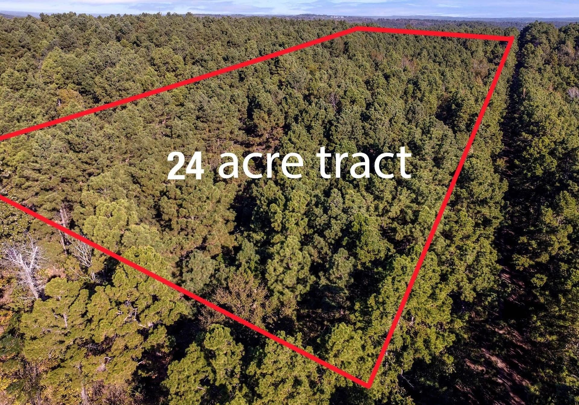24 acres in Henderson County - photo 6