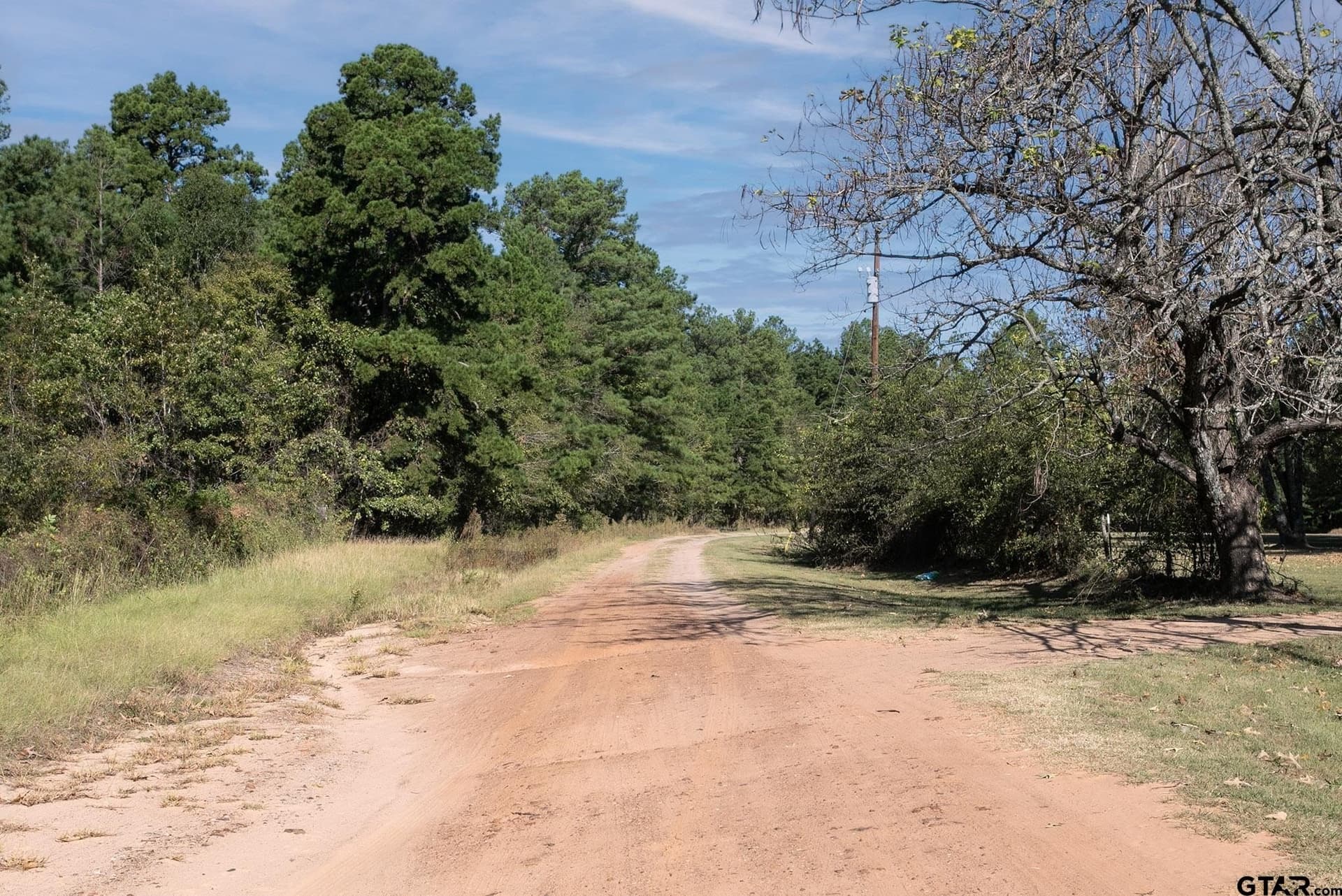 24 acres in Henderson County - photo 11
