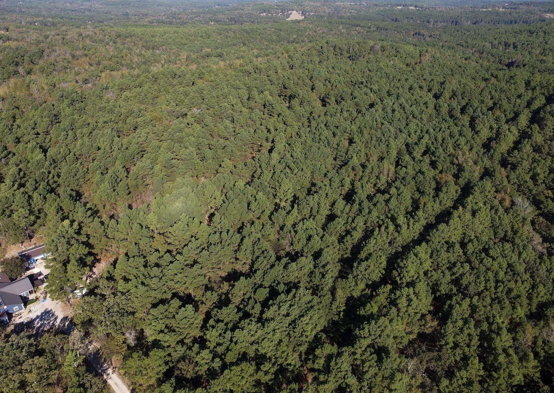 24 acres in Henderson County - photo 8