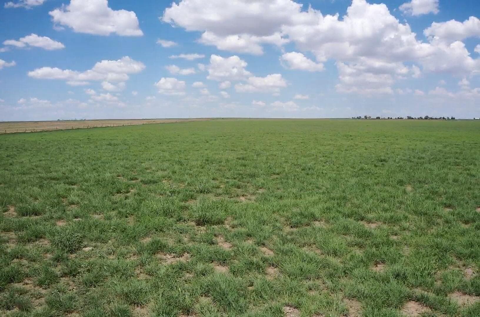 50 acres in Deaf Smith County - photo 7