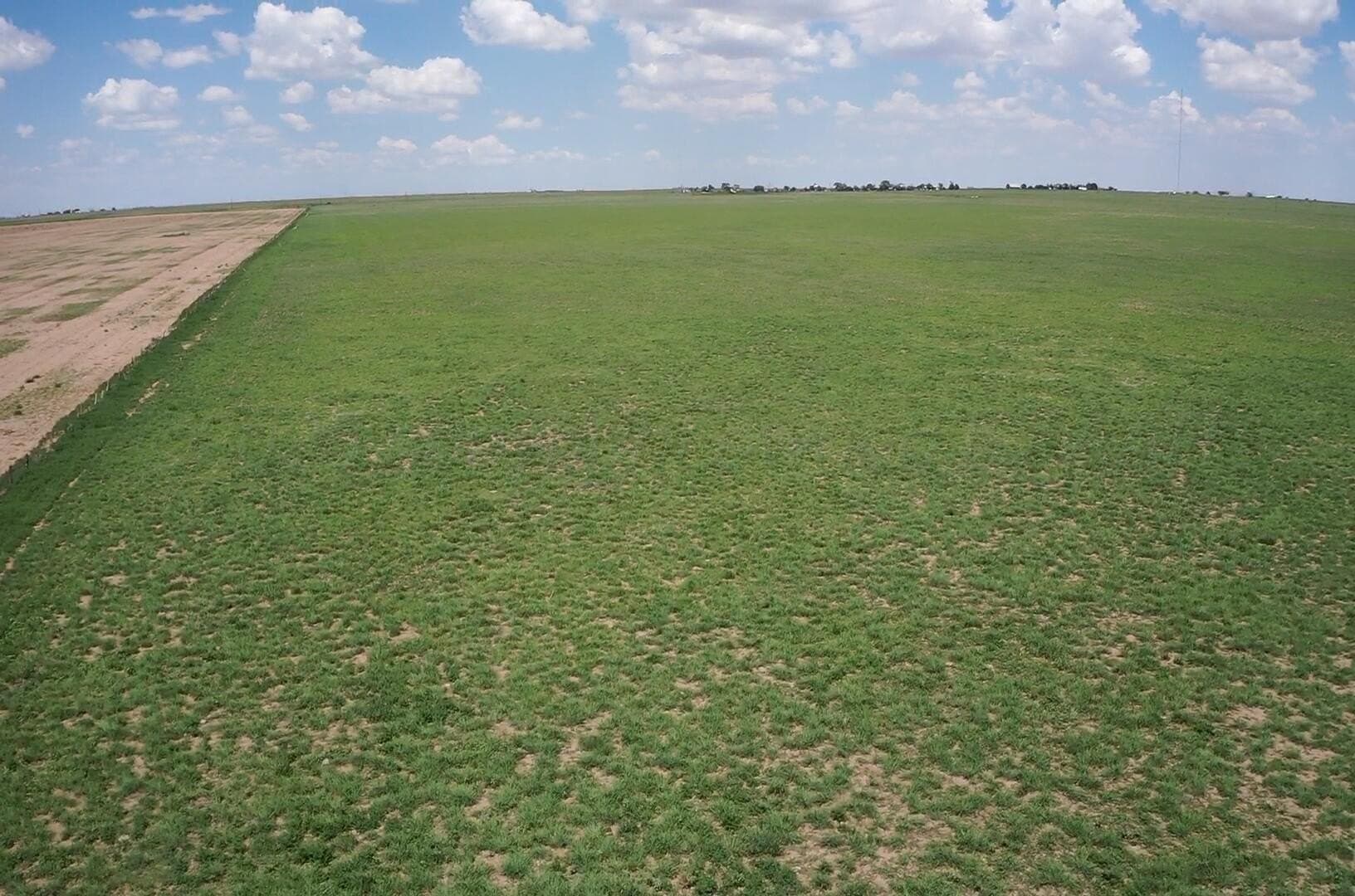 50 acres in Deaf Smith County featured view