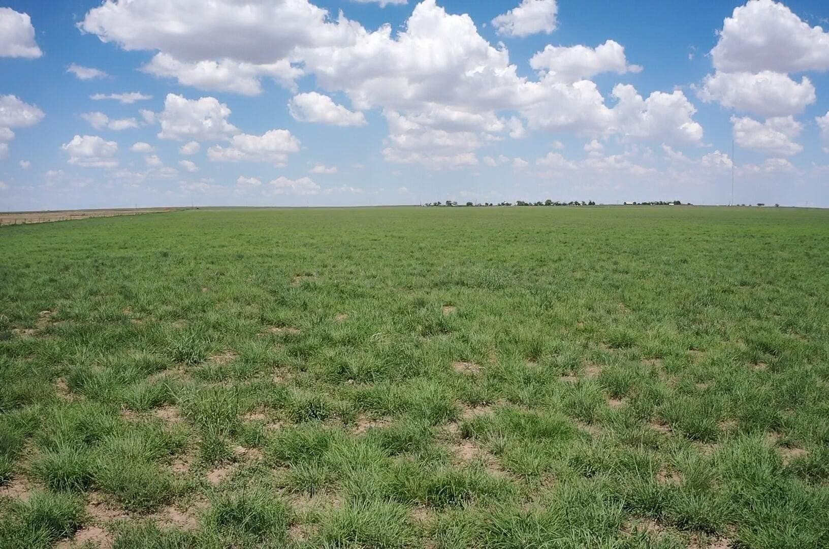 50 acres in Deaf Smith County - photo 6