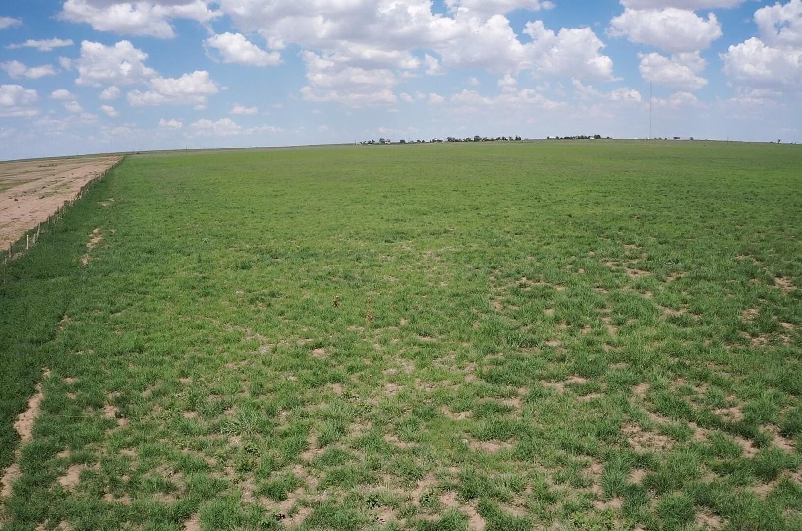 50 acres in Deaf Smith County - photo 8