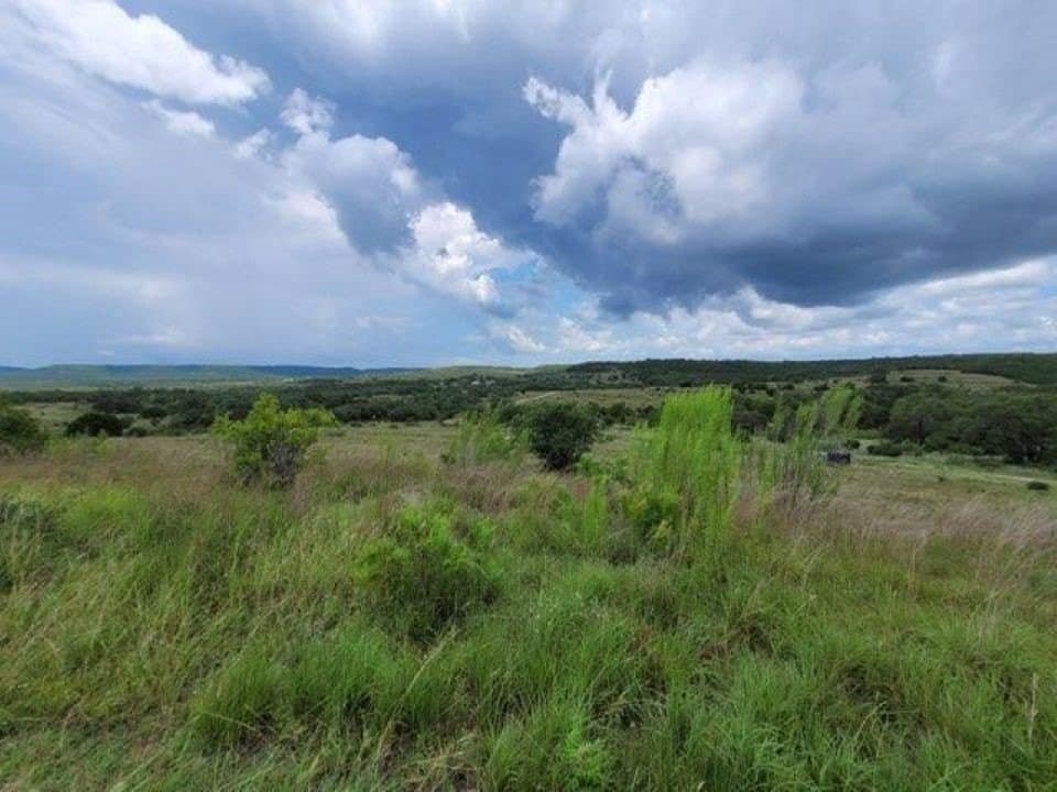 201.36 acres in Burnet County - photo 4