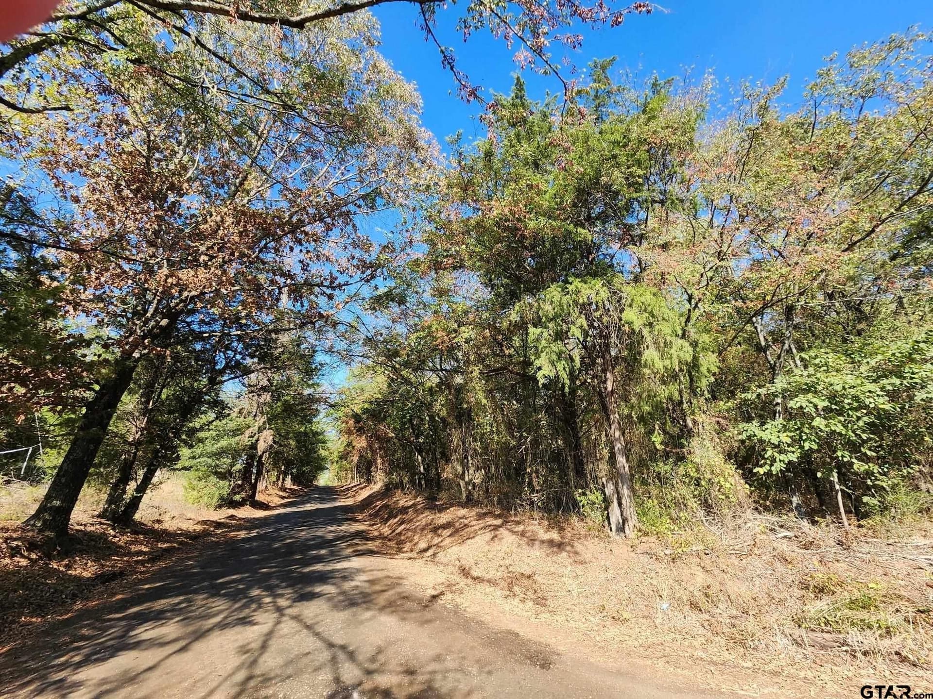 1.25 acres in Camp County - photo 6