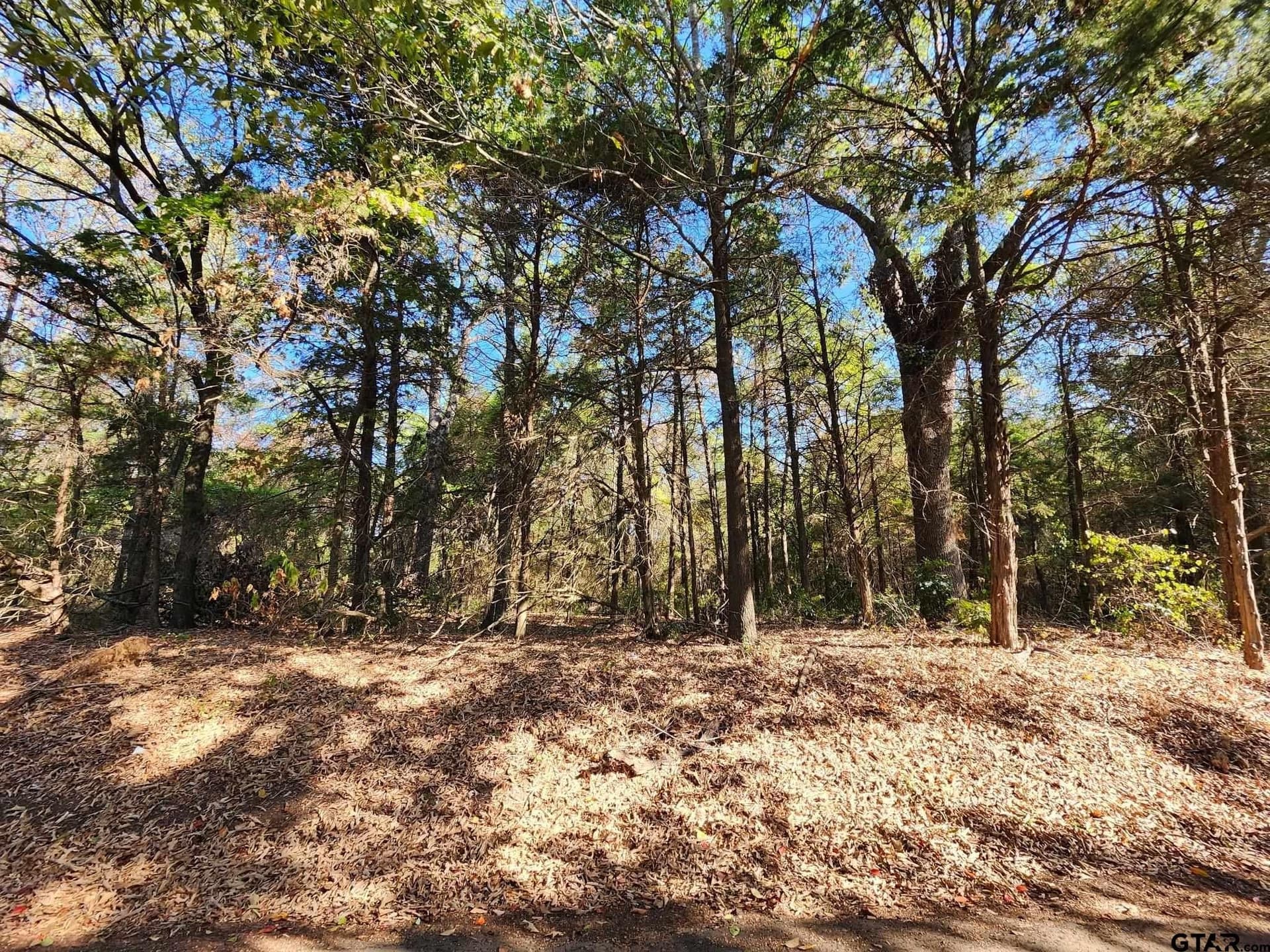 1.25 acres in Camp County - photo 5
