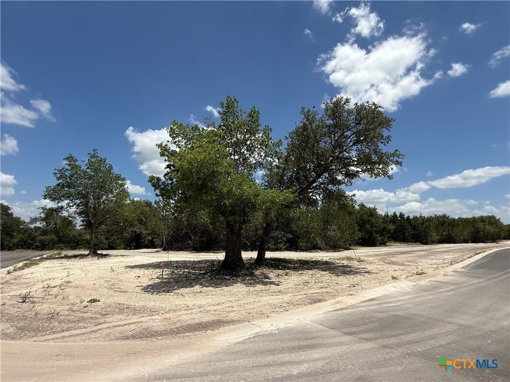 2.1 acres in Bell County gallery image 4