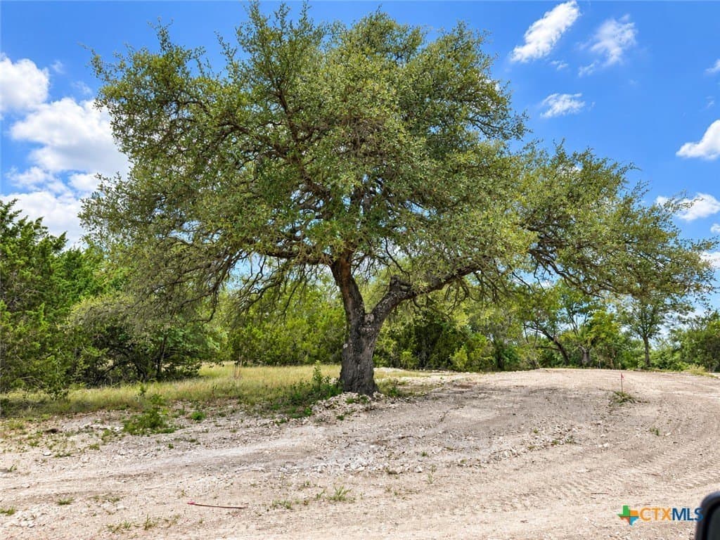 2.1 acres in Bell County - photo 6