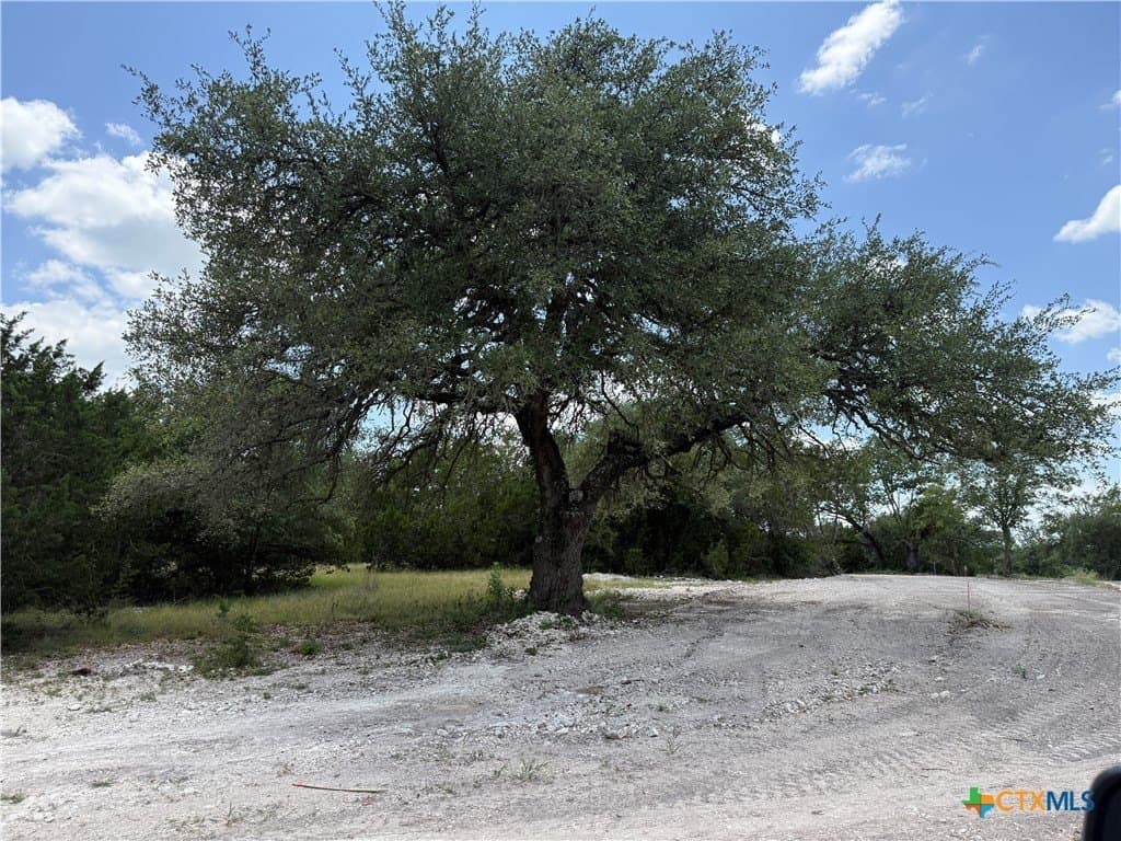 2.1 acres in Bell County gallery image 2