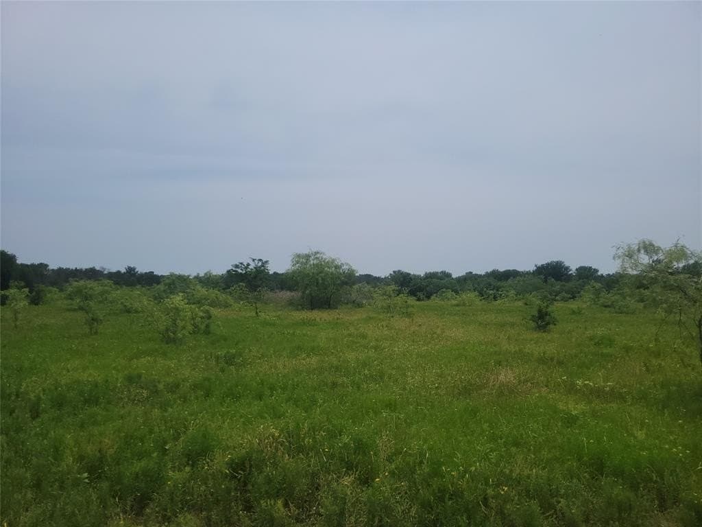 28.03 acres in Navarro County gallery image 2