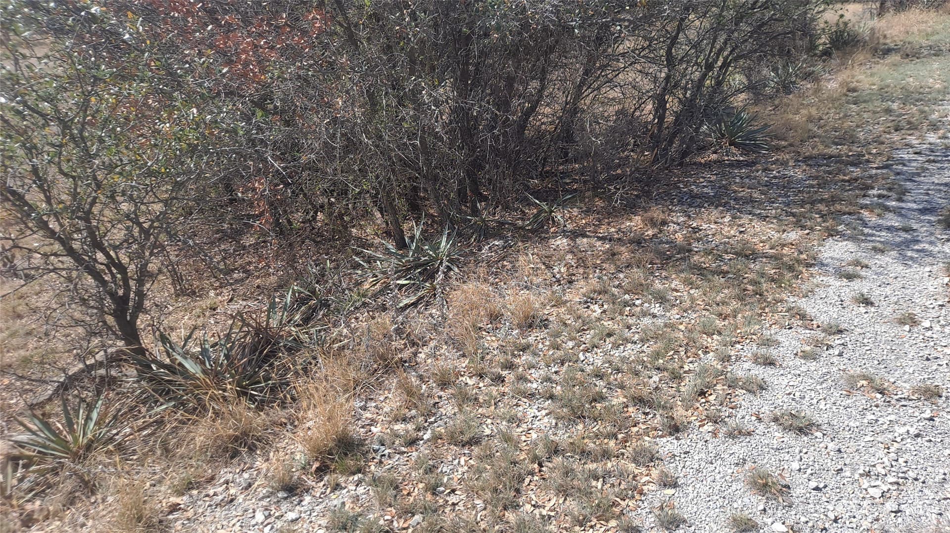 0.57 acres in Brown County gallery image 3