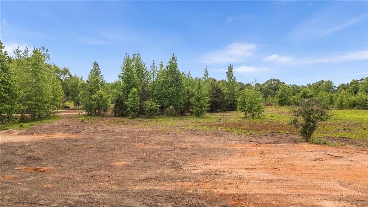3.59 acres in Panola County - photo 11