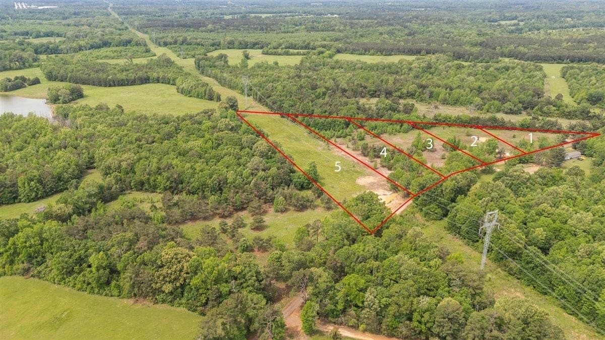 3.59 acres in Panola County gallery image 3