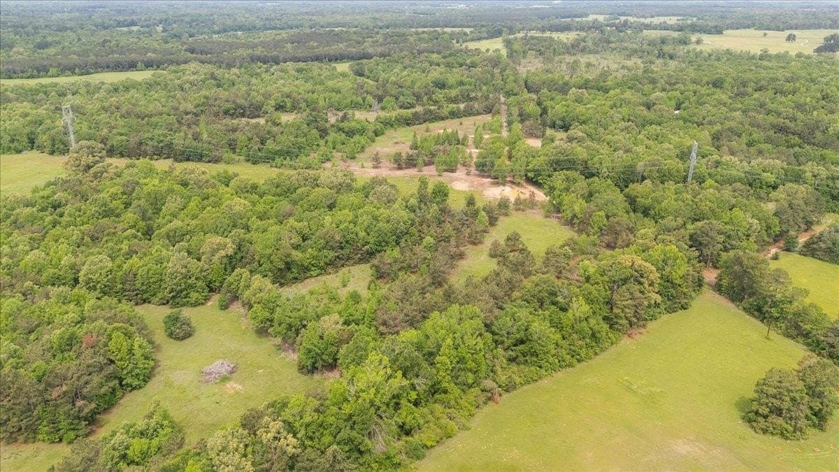 3.59 acres in Panola County - photo 7