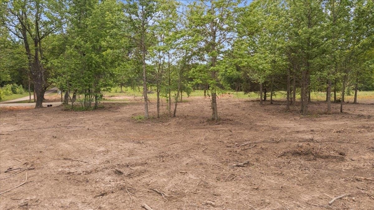 3.59 acres in Panola County - photo 15