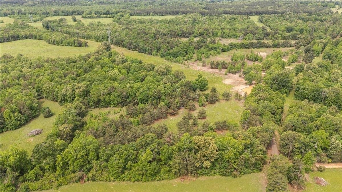 3.59 acres in Panola County - photo 6