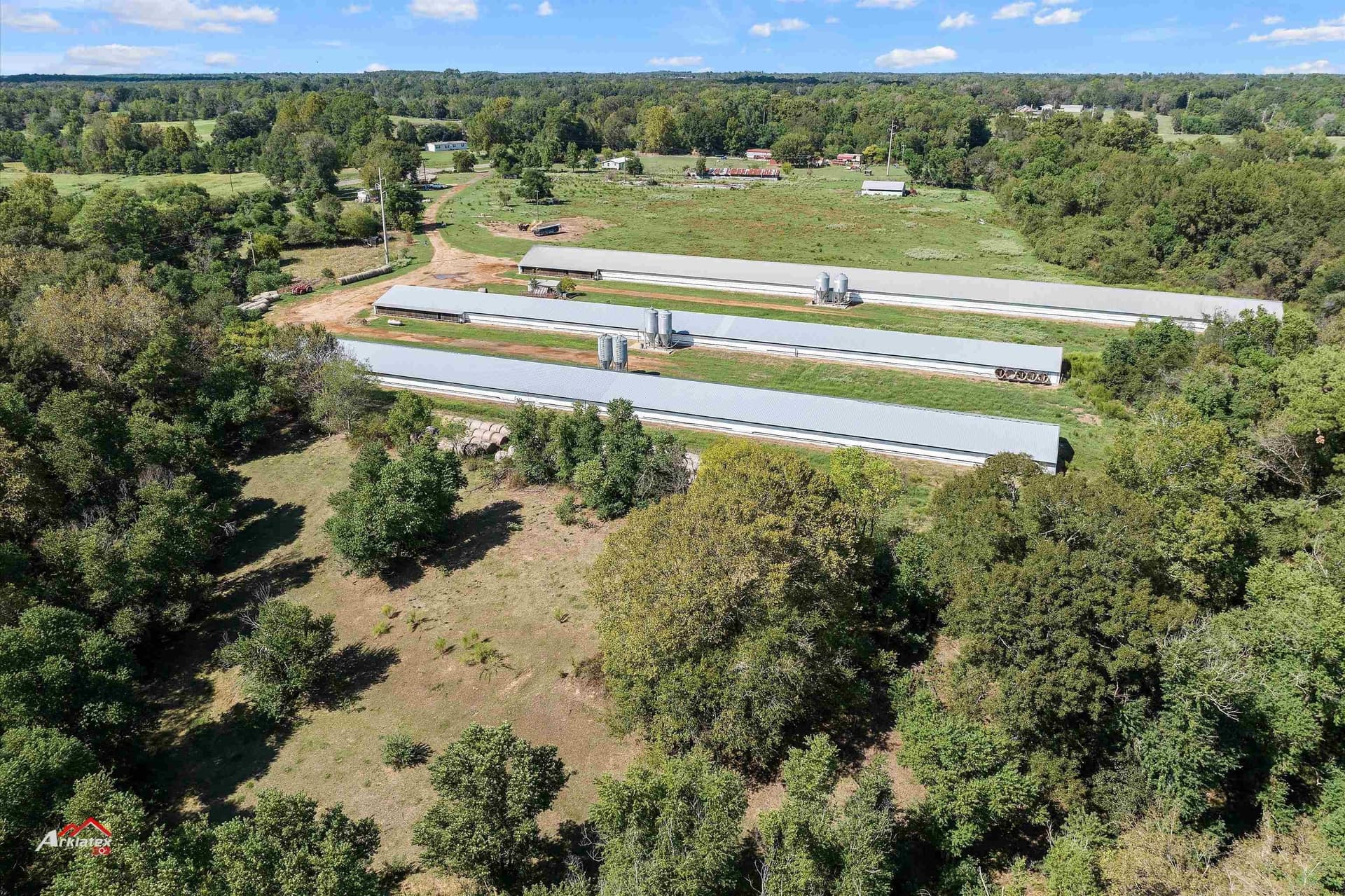 37.28 acres in Shelby County - photo 4