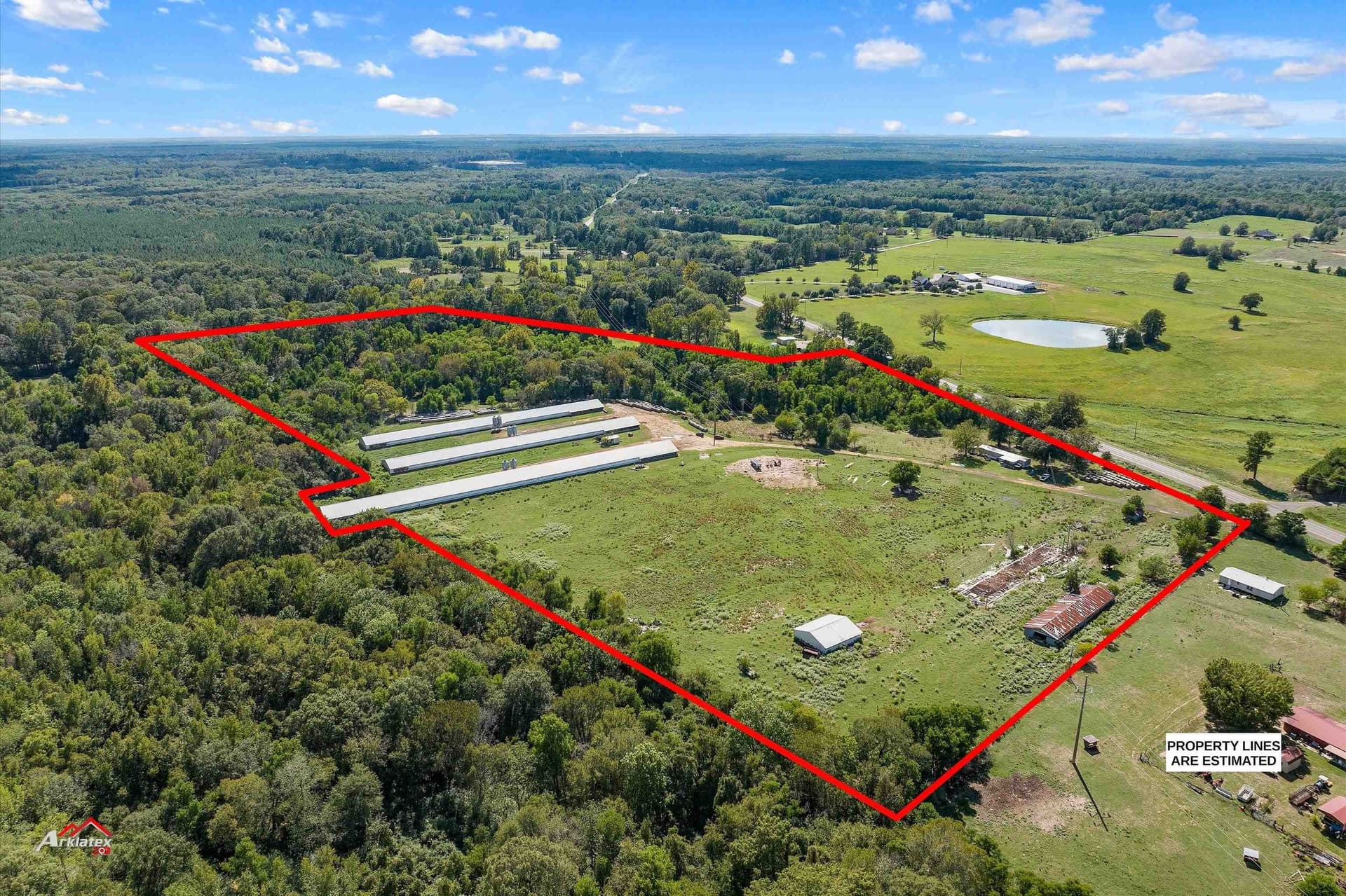 37.28 acres in Shelby County - photo 6