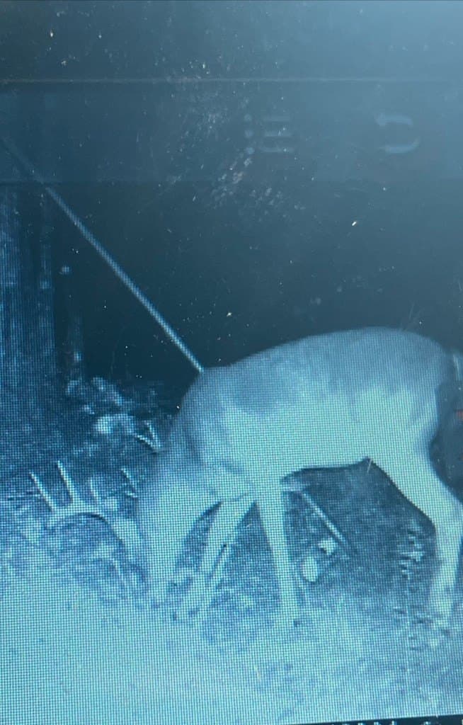 10.05 acres in Texas County - photo 10