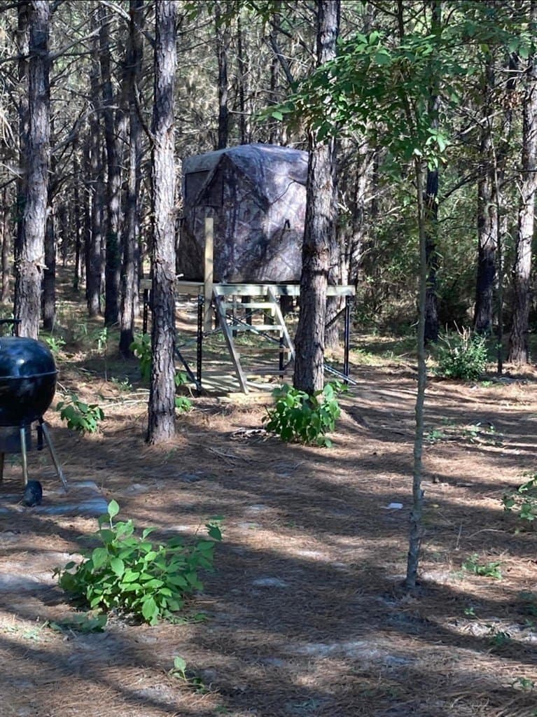 10.05 acres in Texas County featured view