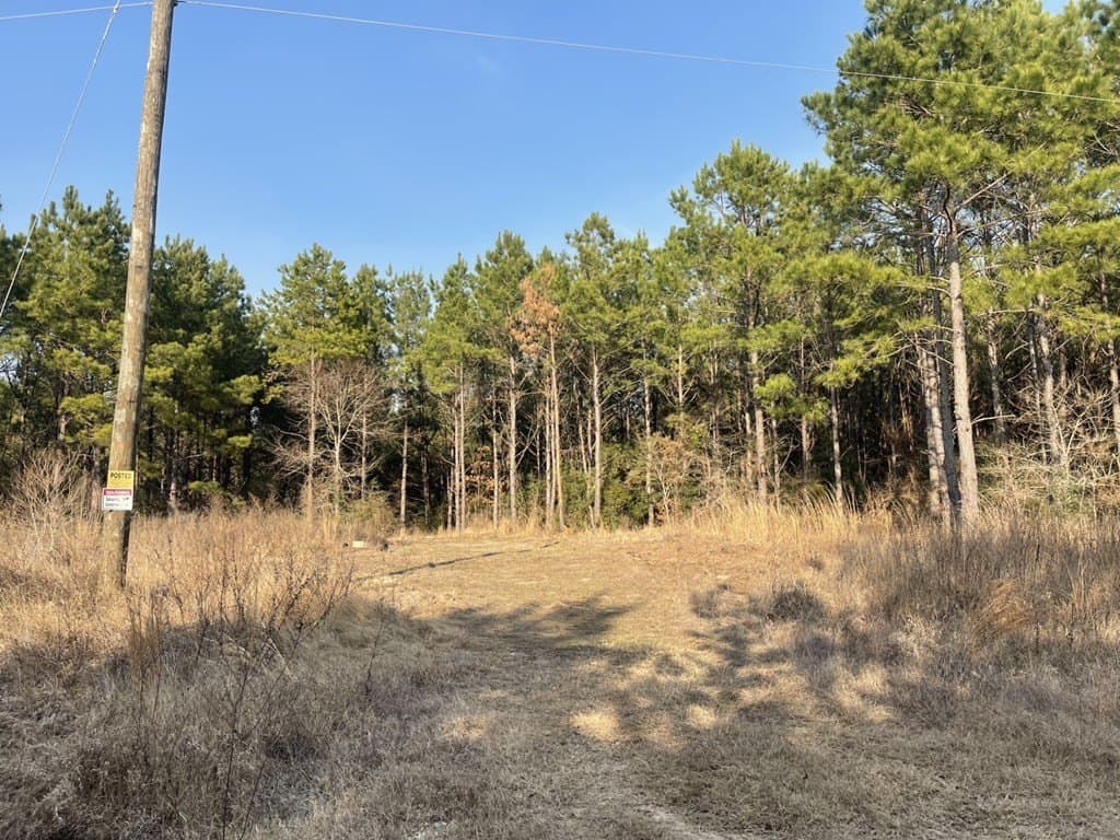 10.05 acres in Texas County gallery image 2