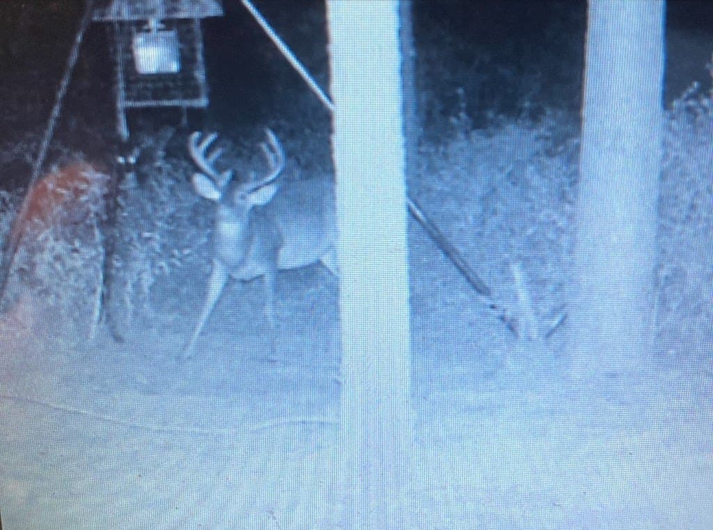 10.05 acres in Texas County - photo 11