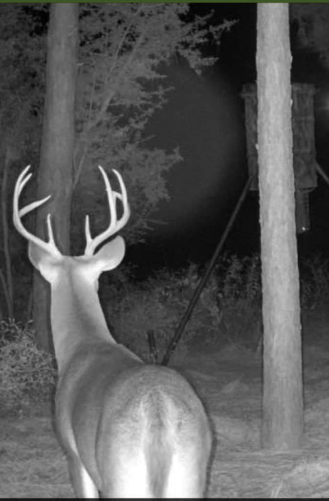 10.05 acres in Texas County - photo 9