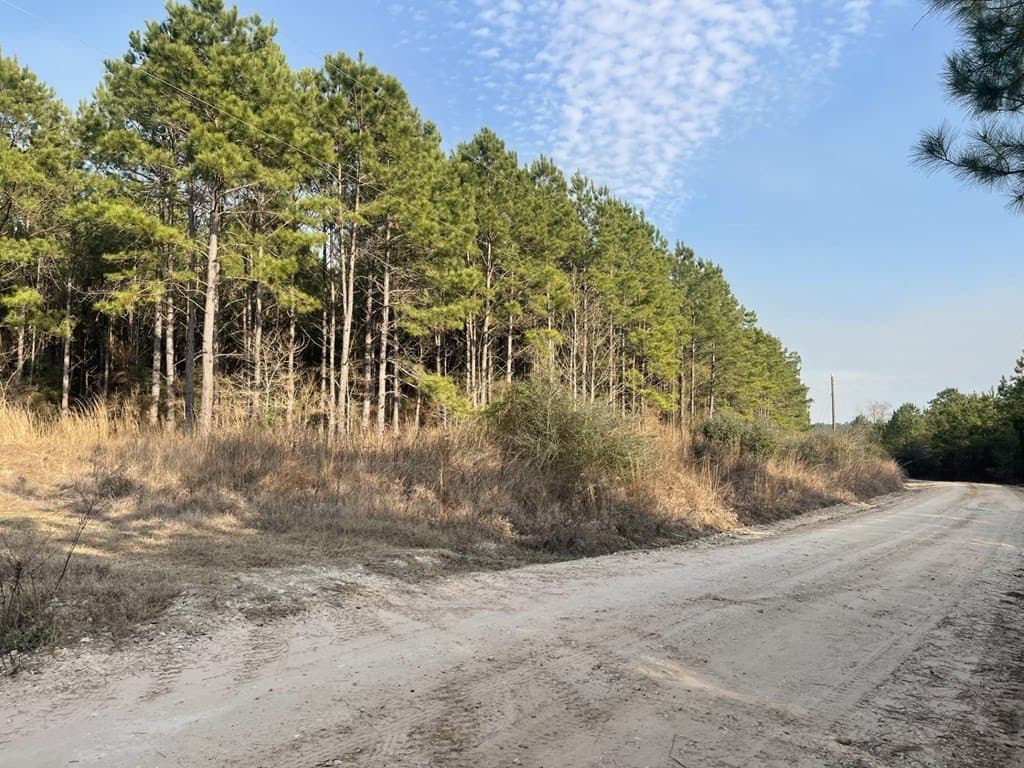 10.05 acres in Texas County gallery image 3