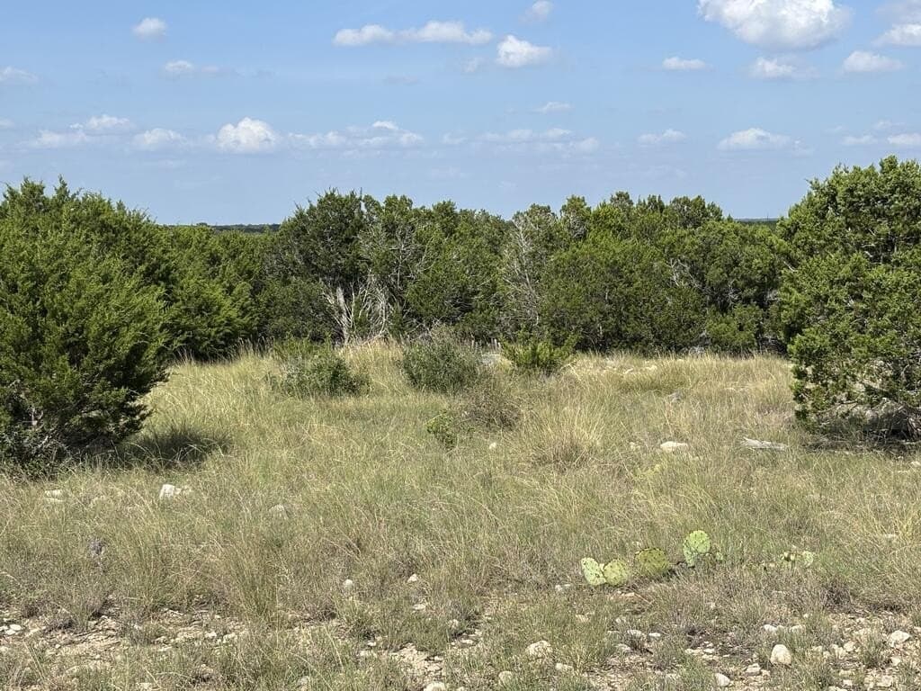 20 acres in Edwards County - photo 35