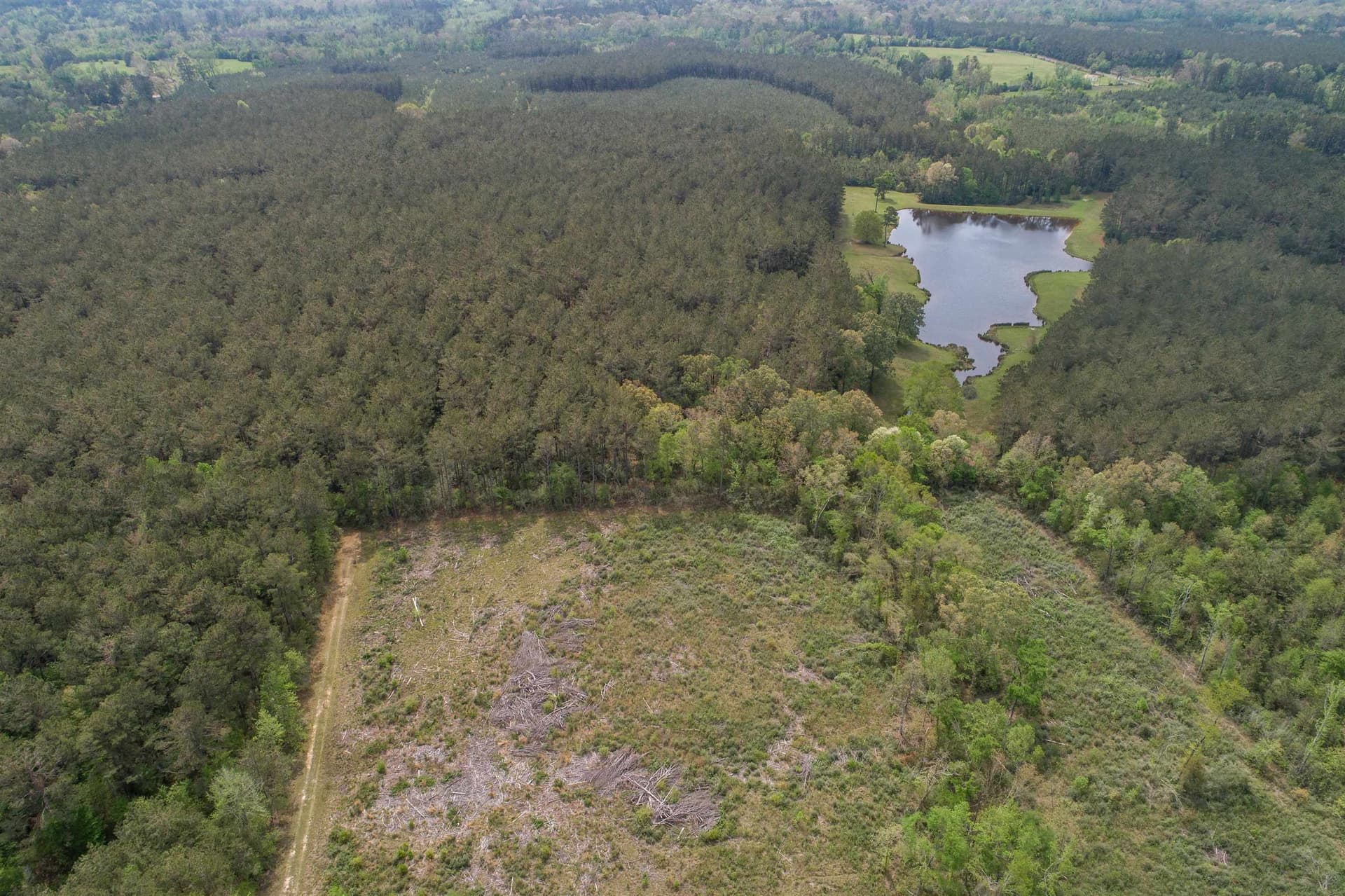 5.06 acres in Panola County featured view