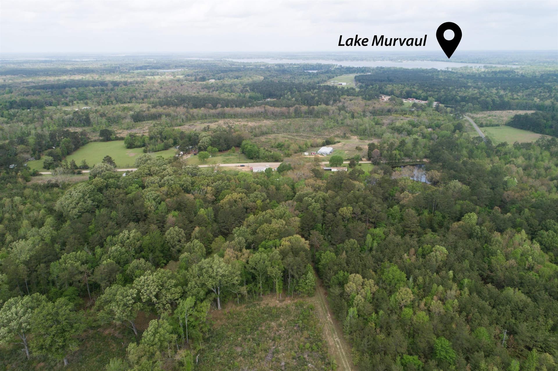 5.06 acres in Panola County gallery image 2
