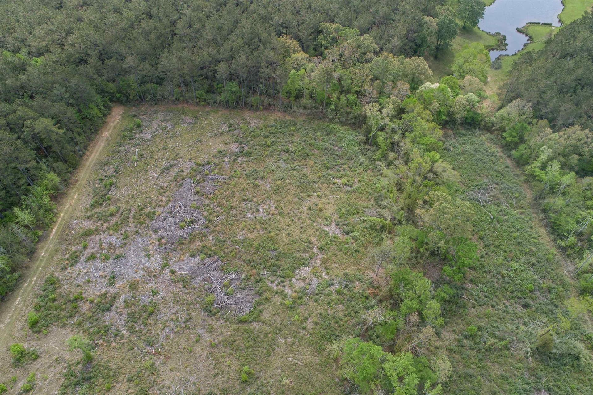 5.06 acres in Panola County gallery image 4