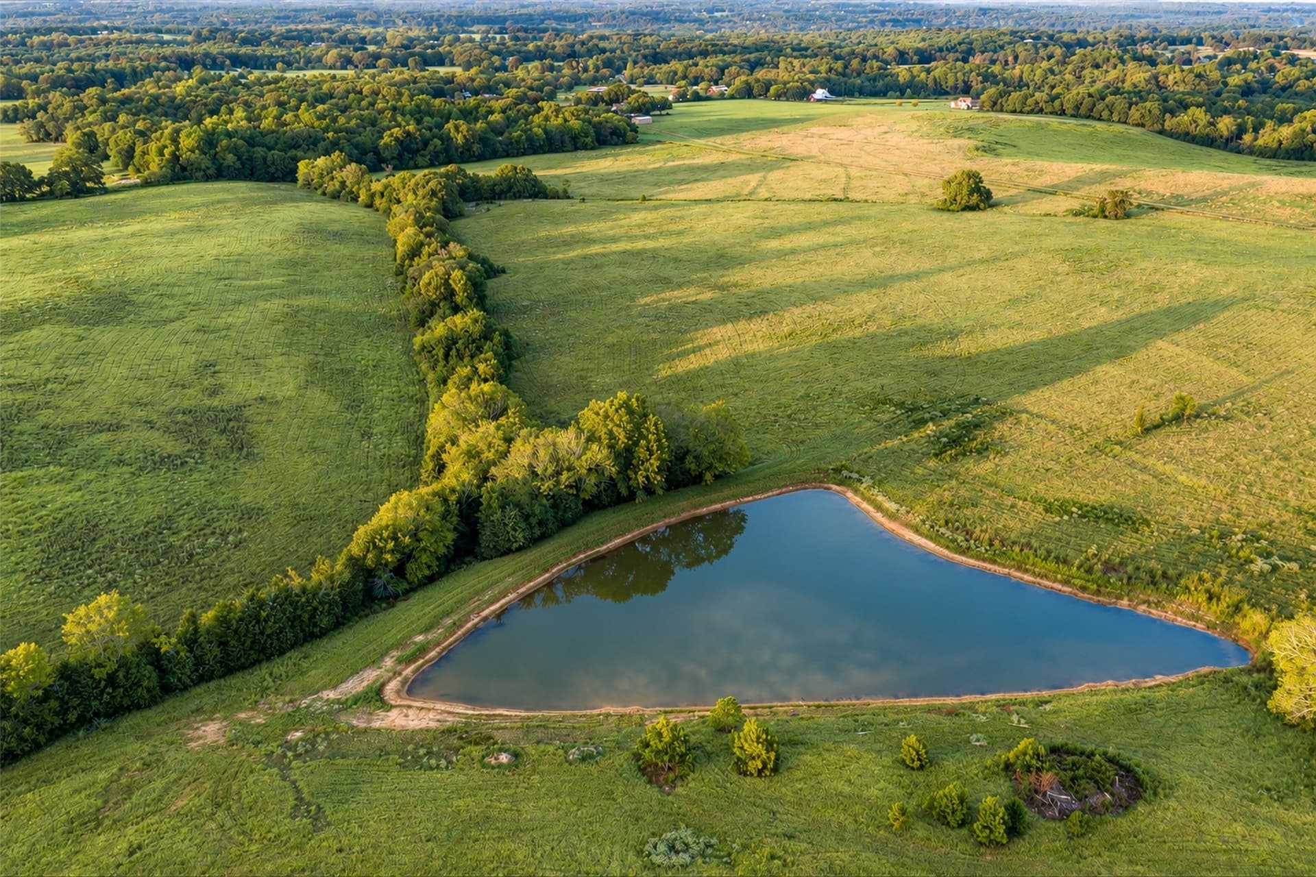 220.17 acres in Cherokee County - photo 3