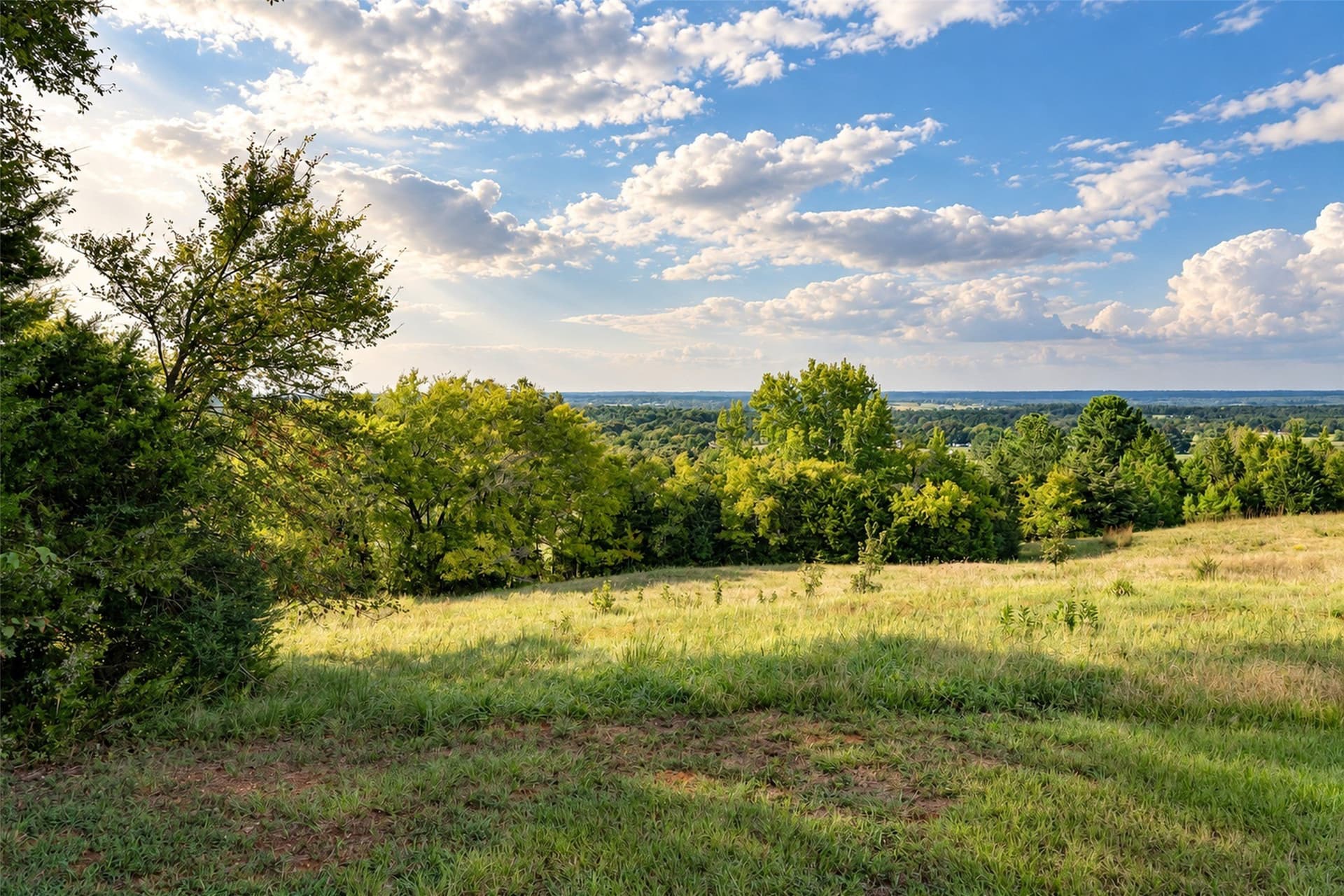 220.17 acres in Cherokee County - photo 10