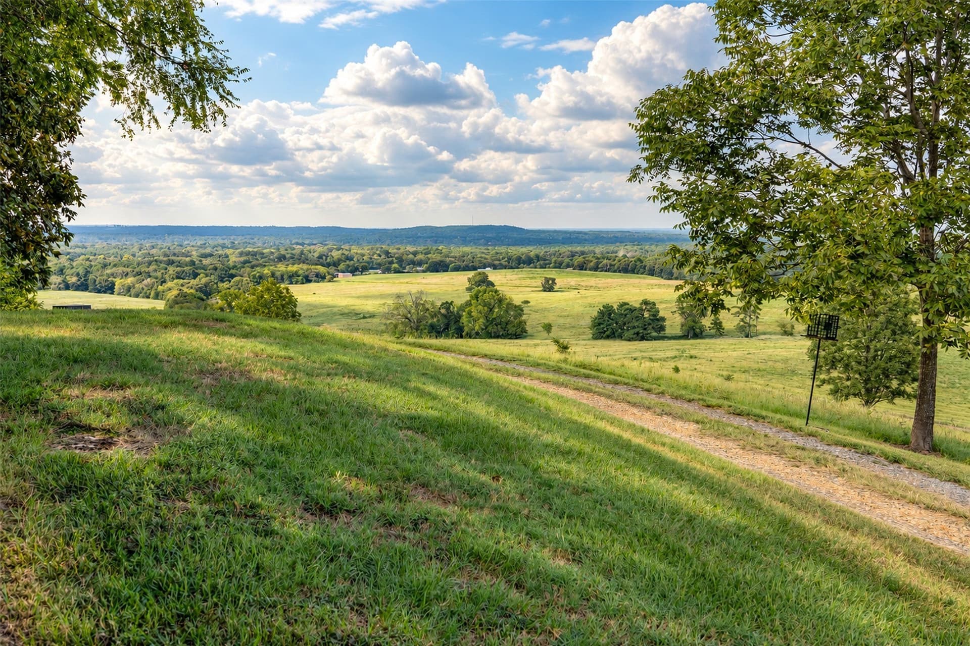 220.17 acres in Cherokee County - photo 8