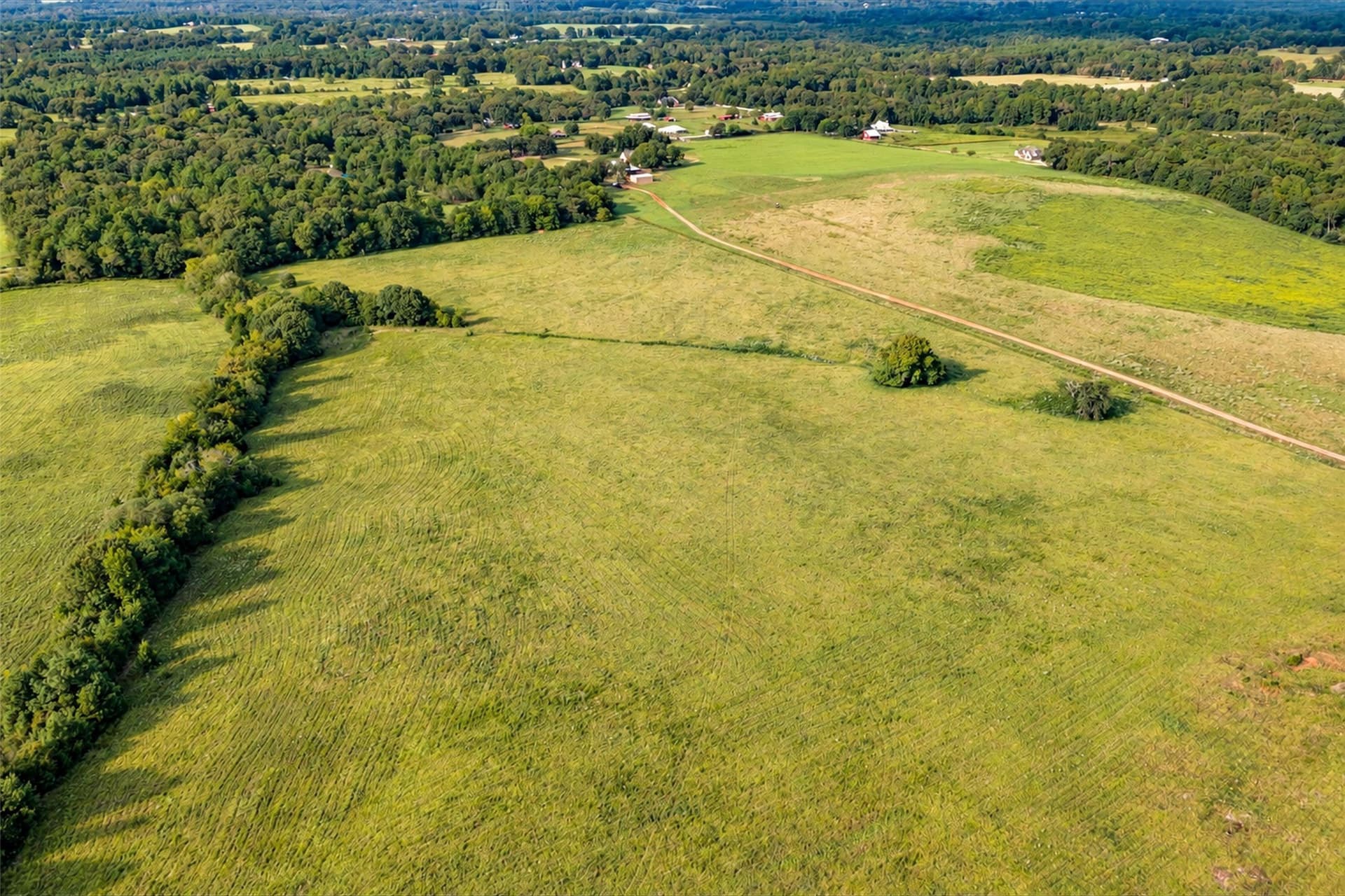 220.17 acres in Cherokee County - photo 6