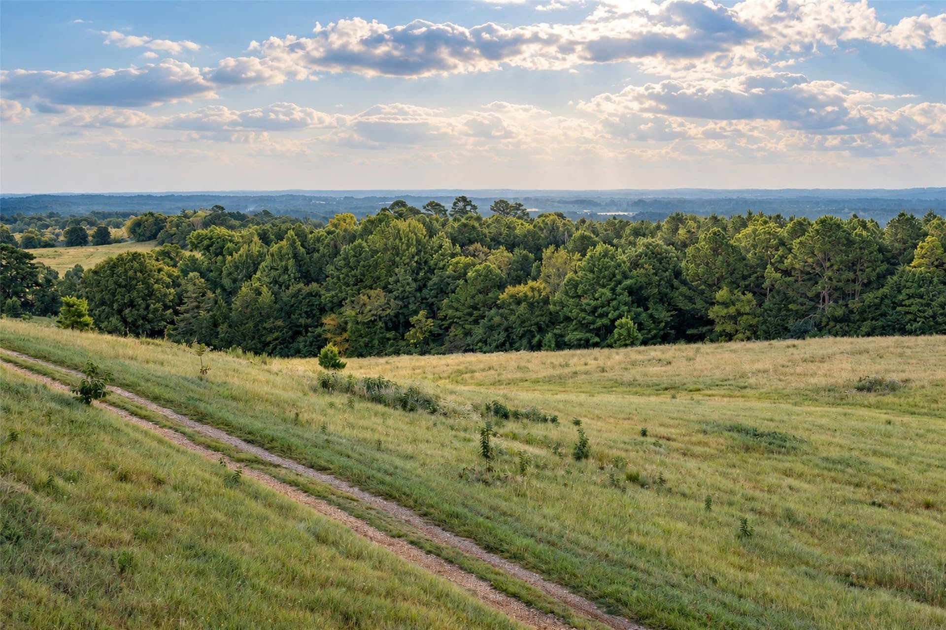 220.17 acres in Cherokee County - photo 30