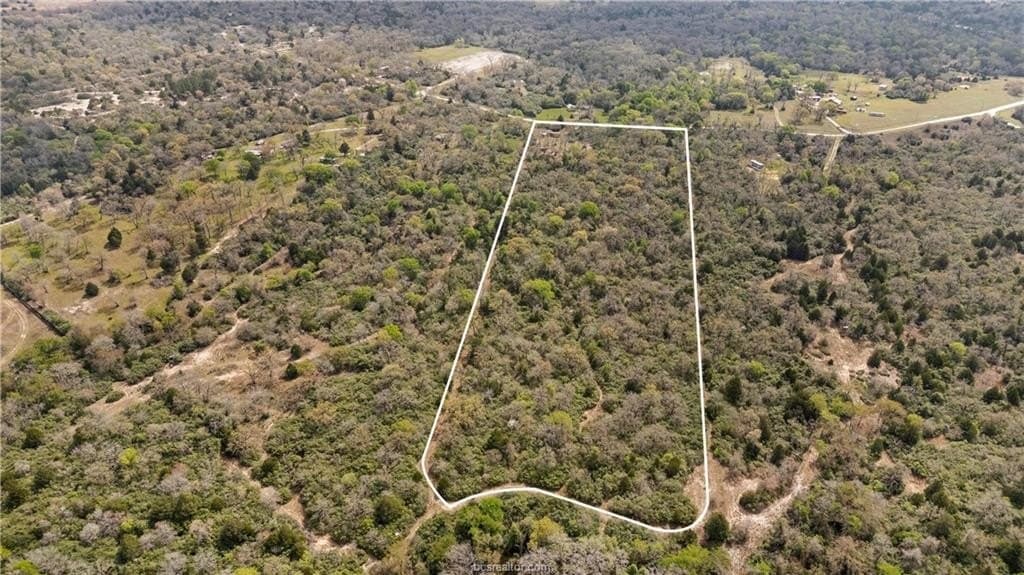 20 acres in Leon County gallery image 3